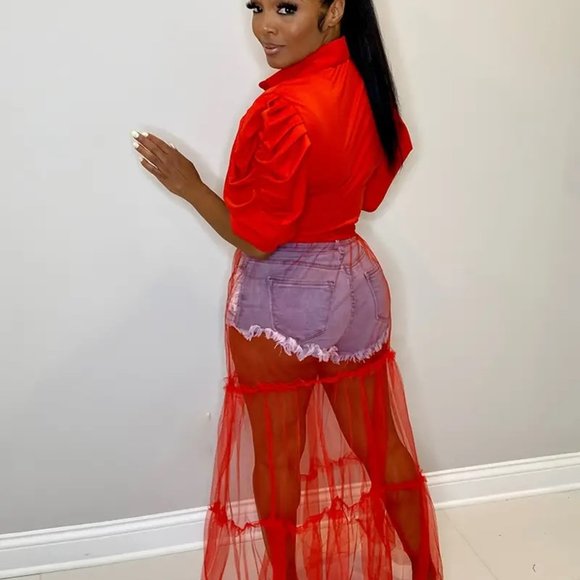 Sexy Short Sleeve Turn Down Collar Tie Mesh Dress - Picture 8 of 13